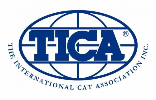 What Makes T.I.C.A. Different What Makes T.I.C.A. Different
