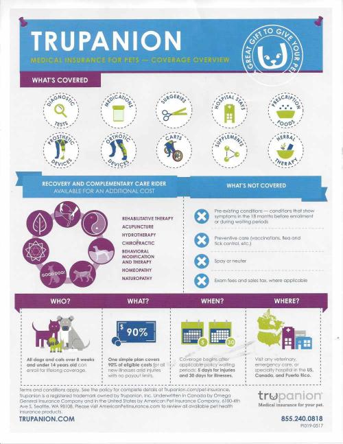 Free Pet Insurance Is Provided Free Pet Insurance Is Provided